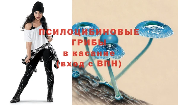 spice Балахна