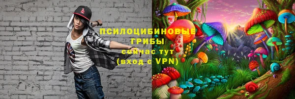 ешки Балабаново