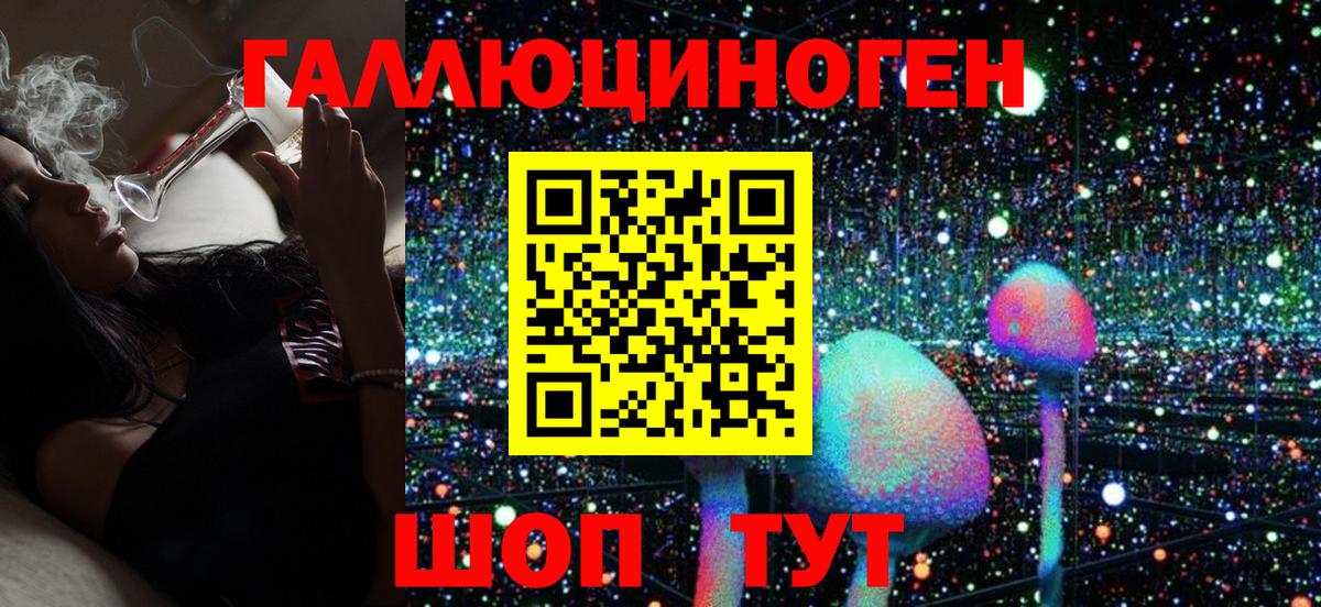 Галлюциногенные грибы Cubensis Барабинск