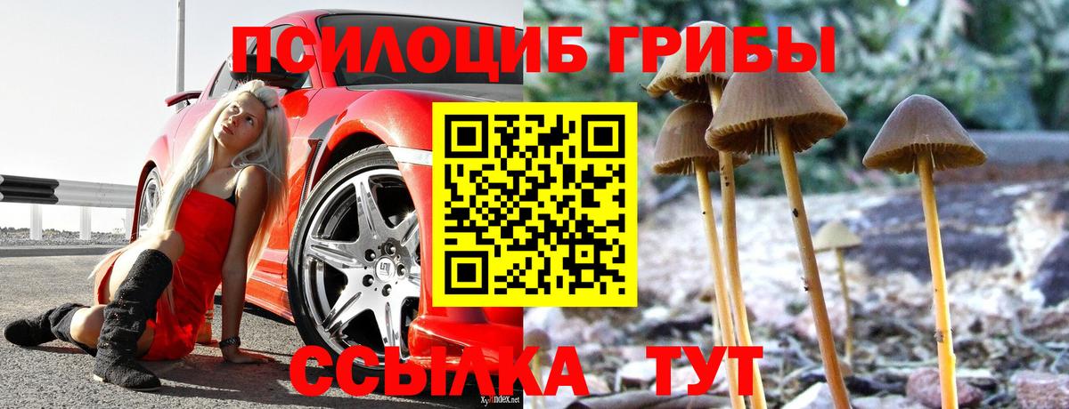 наркотики  Псилоцибиновые грибы GOLDEN TEACHER  Вход с VPN  Барабинск 